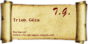 Trieb Géza névjegykártya
